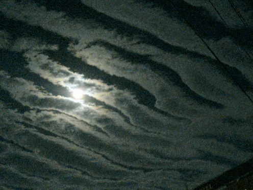 f0371014_07322884.jpg