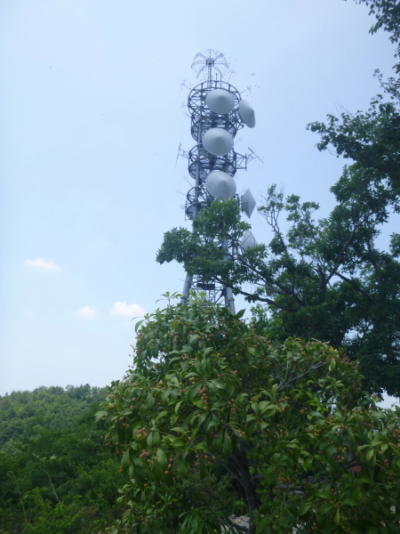 d0170615_17254141.jpg
