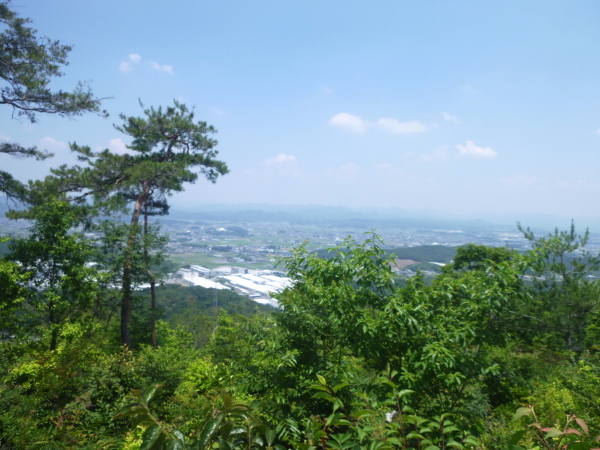d0170615_17255681.jpg