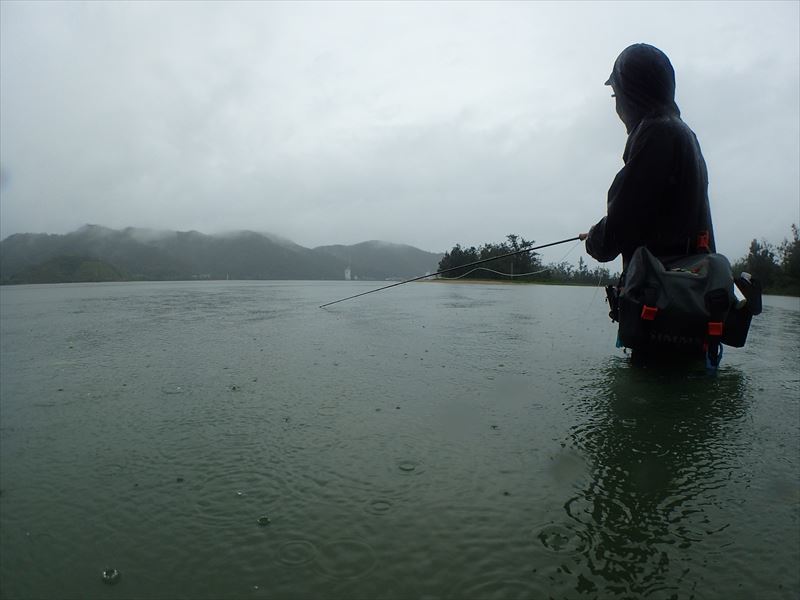 ６月上旬～中旬　梅雨祭り！_b0404724_07545320.jpg