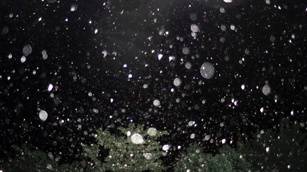 c0331825_09251131.jpg