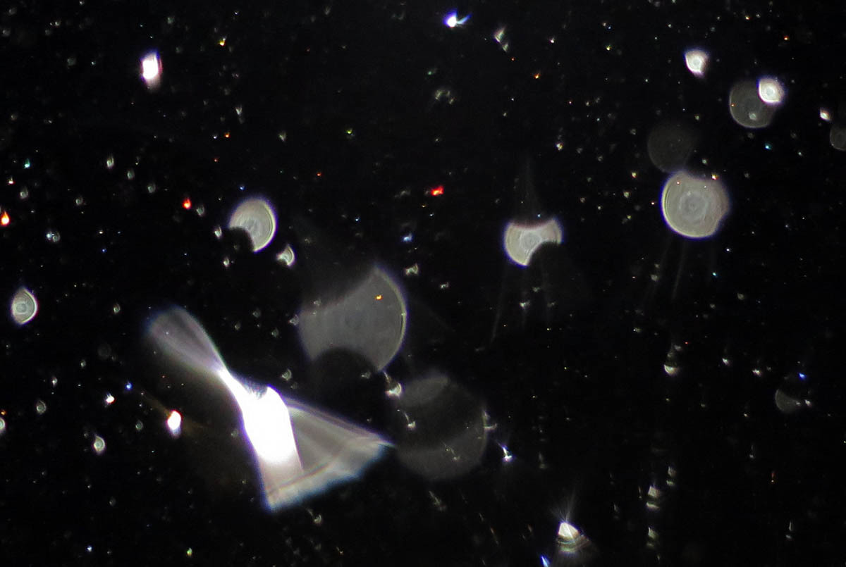 c0331825_09540850.jpg