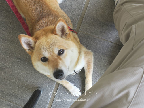 成長_e0394031_06200313.jpg