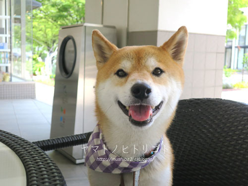 成長_e0394031_06201006.jpg