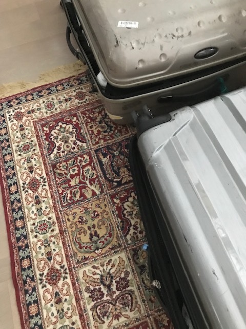 d0269832_04390970.jpeg