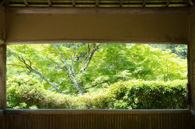 新緑を楽しむ ”白龍園 ”編_e0369736_08052901.jpg