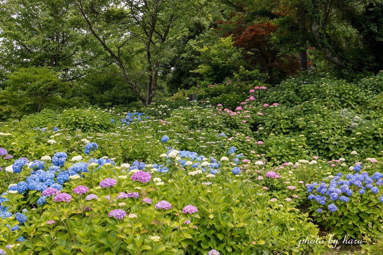 f0297537_07031995.jpg
