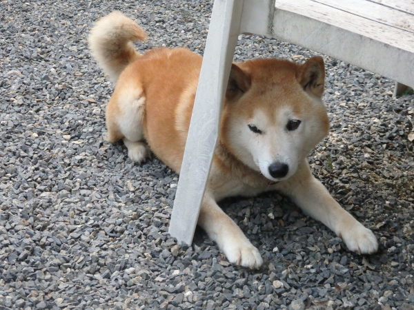a0054240_21463669.jpg