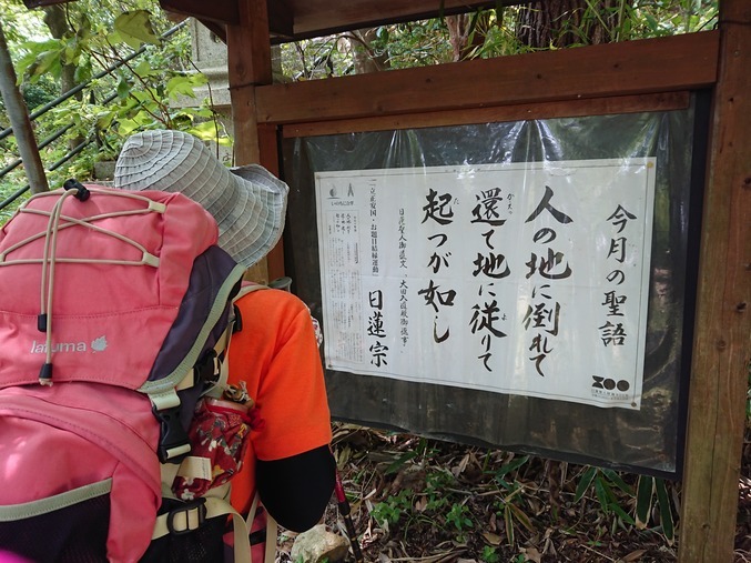夏山トレーニング 『有馬三山』_c0218841_14541533.jpg