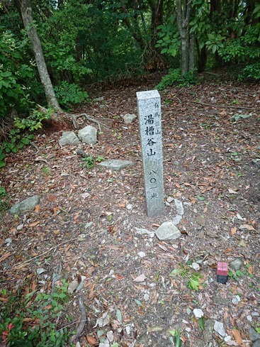 夏山トレーニング 『有馬三山』_c0218841_14573162.jpg