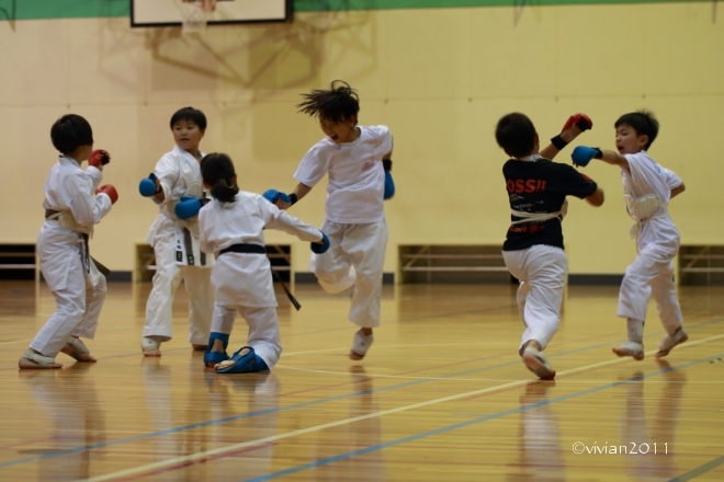 上三川 空手(一友会)の練習風景見学&撮影_e0227942_16501812.jpg