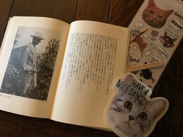 失せ物現る_d0101846_06394058.jpeg