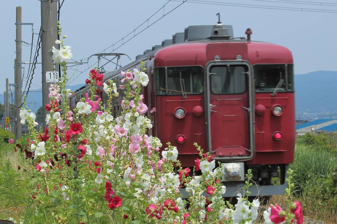 2019総集編その9 / ♪ジョニー・マティス「ミスティ」_e0403850_17352417.jpg