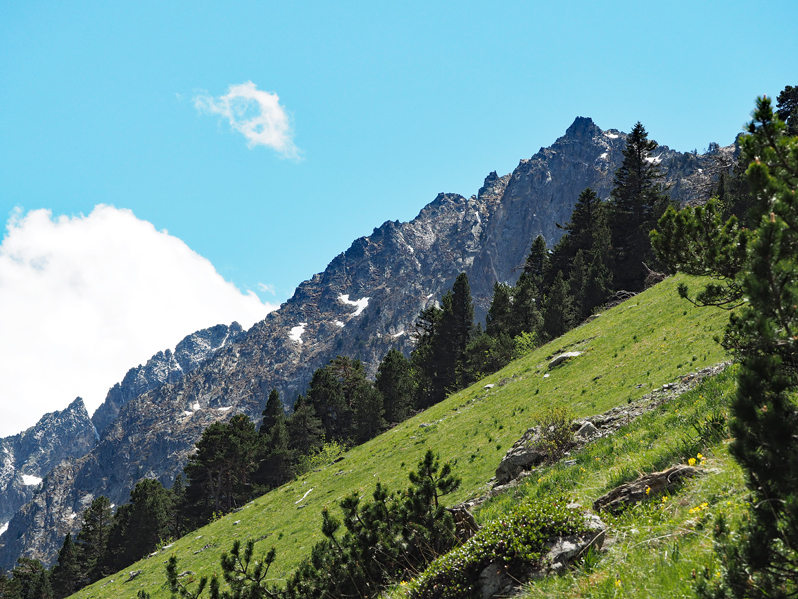 f0140054_09145914.jpg