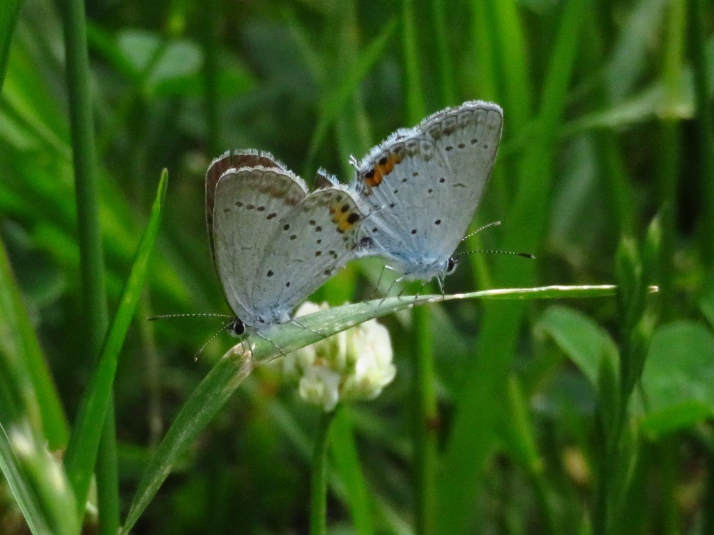 a0018655_13560819.jpg