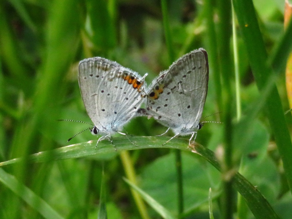 a0018655_13560841.jpg