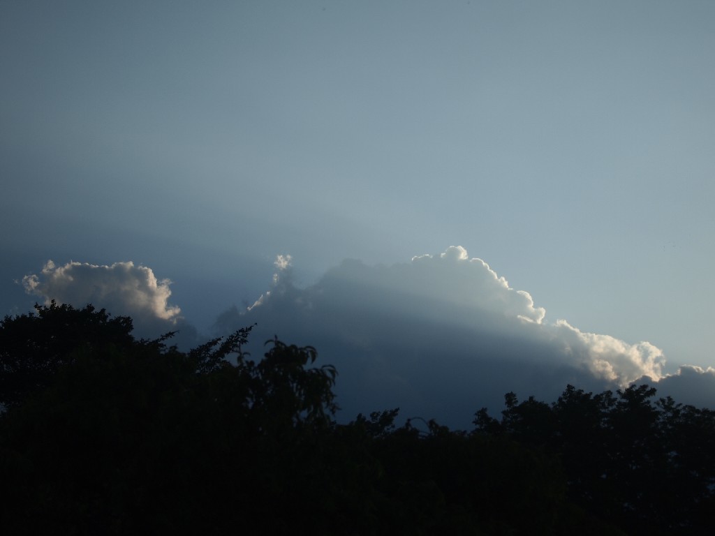 b0319255_09465736.jpg