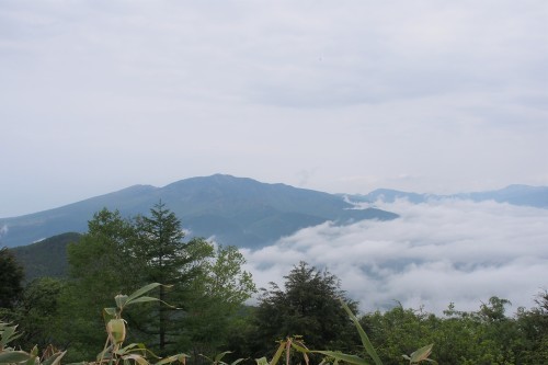 b0335256_20515237.jpg