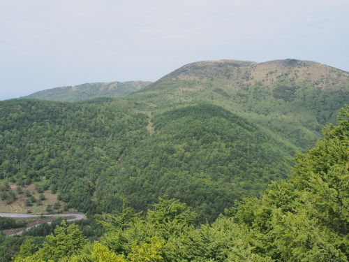 b0335256_20532051.jpg