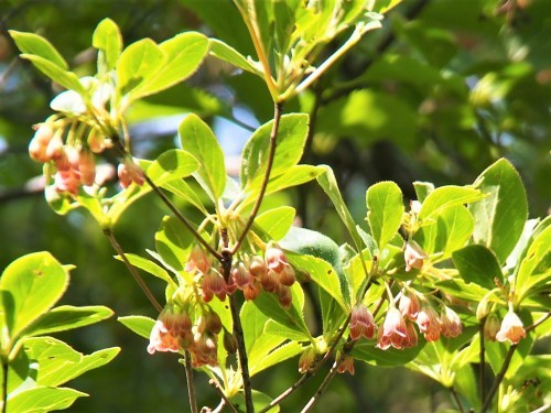 b0335256_20553837.jpg