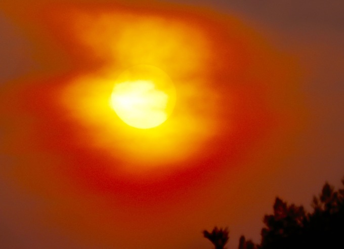 a0248459_13532449.jpg