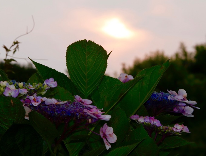 a0248459_13551312.jpg