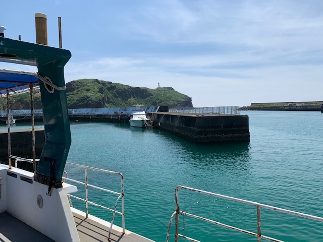 6月21日 ちっちゃいのから大きいのまで!_d0113459_18242812.jpeg