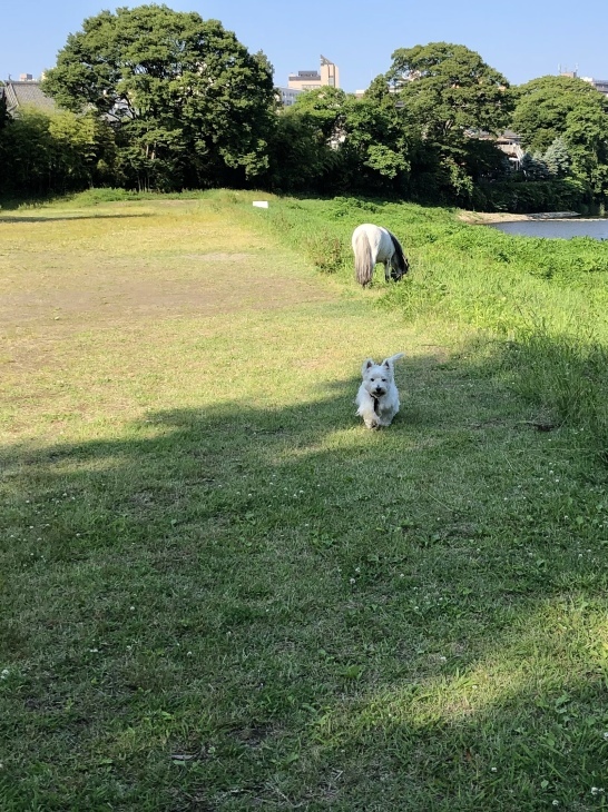 f0363961_08435161.jpeg