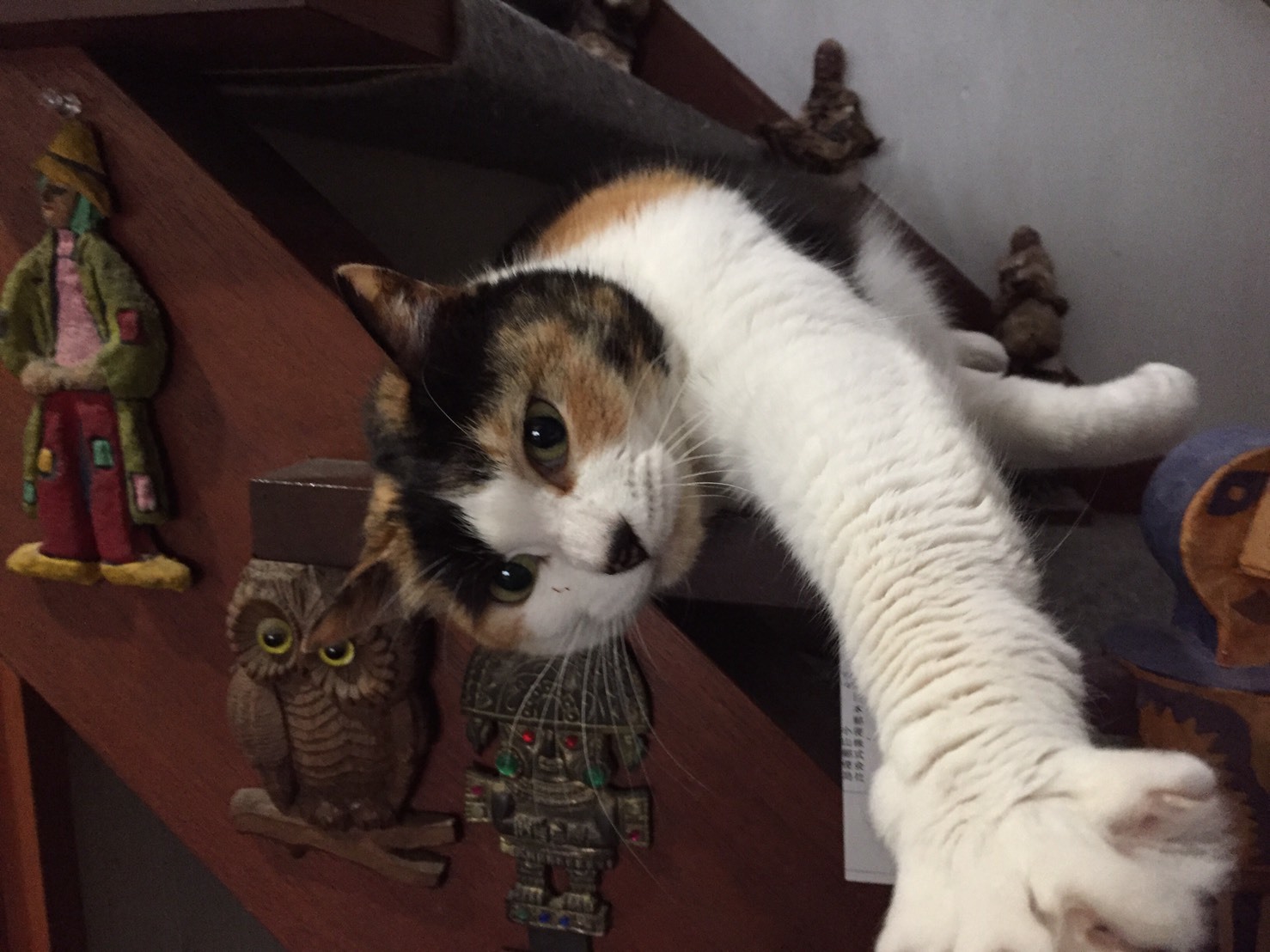 a0053063_23123142.jpeg