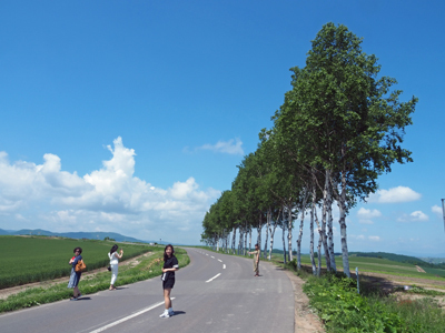 北海道小旅行記 （美瑛） （撮影：6月9日）_b0112263_20411809.jpg