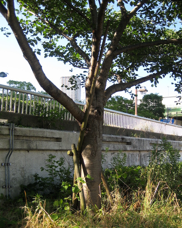 b0057679_09052690.jpg