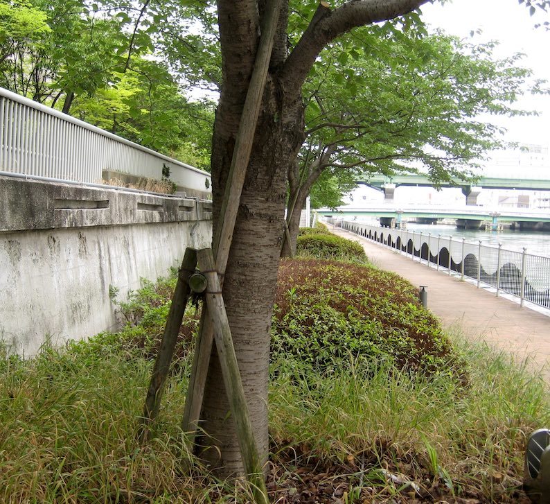 b0057679_09053420.jpg