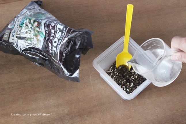 固まる土ネルソルで 100均オーナメント多肉アレンジ 作り方 A Piece Of Dream 植物とdiyと 固まる土ネルソルで 100均オーナメント多肉アレンジ 作り方 A Piece Of Dream 植物とdiyと