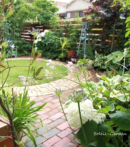 e0154682_21300057.jpg