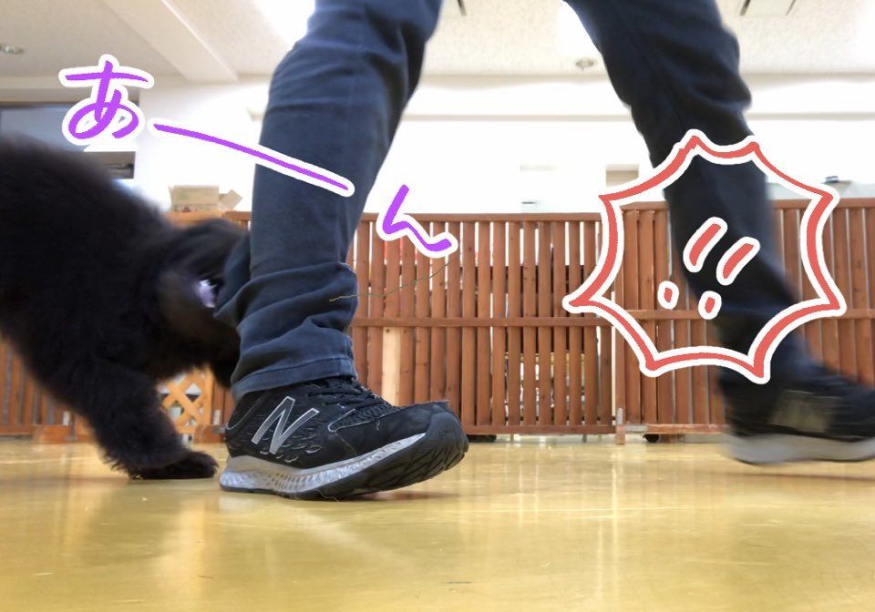 トレーニングブログ_f0357682_21061200.jpeg