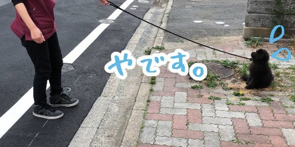 トレーニングブログ_f0357682_21120519.jpeg