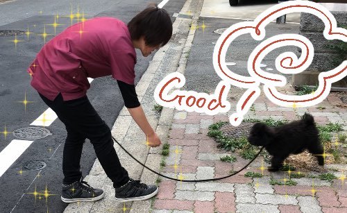 トレーニングブログ_f0357682_21121890.jpeg