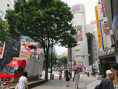 b0056983_11245343.jpg