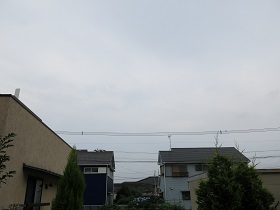 e0130185_8585446.jpg