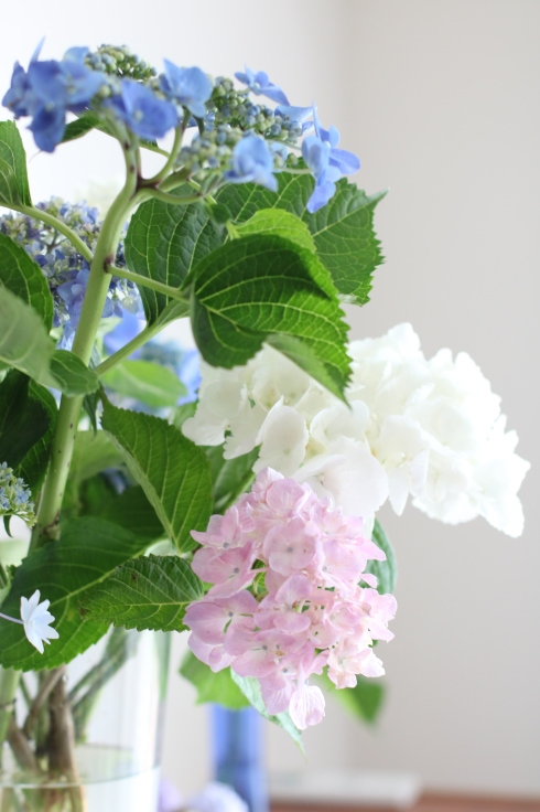 紫陽花のおもてなし_f0306287_12131212.jpg