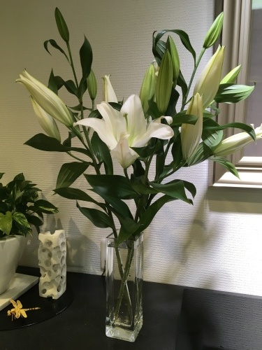 今週のお花_f0347891_22515989.jpeg
