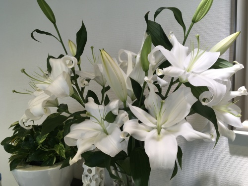 今週のお花_f0347891_22521307.jpeg