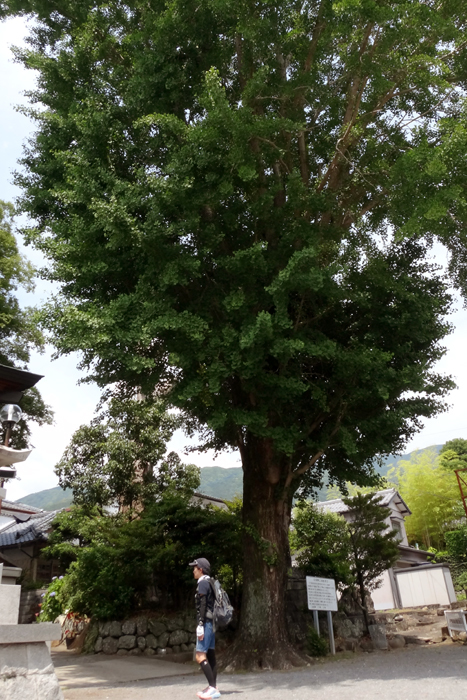 e0079696_00110565.jpg