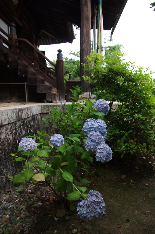 c0382798_10322968.jpg