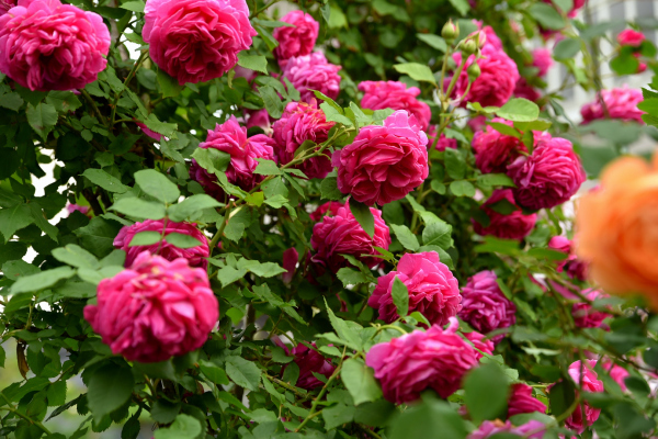 d0380314_14581904.jpg
