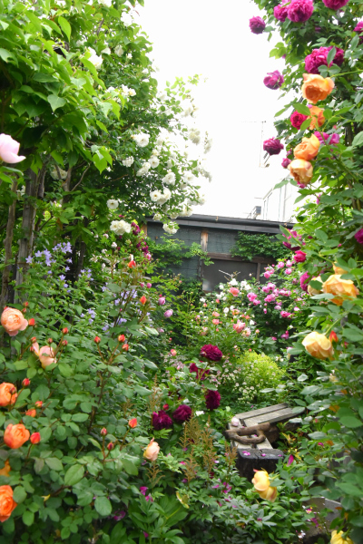 d0380314_14583011.jpg