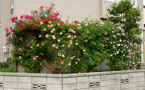 d0380314_14585612.jpg