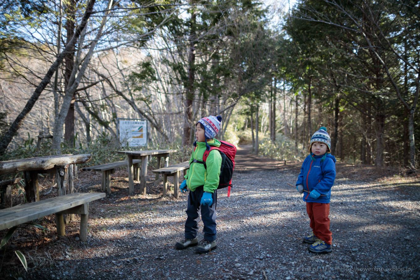 ちびっ子兄弟のチャレンジ春登山「石割山~平尾山」_c0369219_12325116.jpg