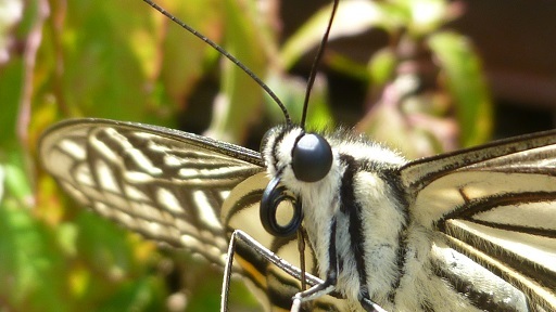 f0000521_20090516.jpg