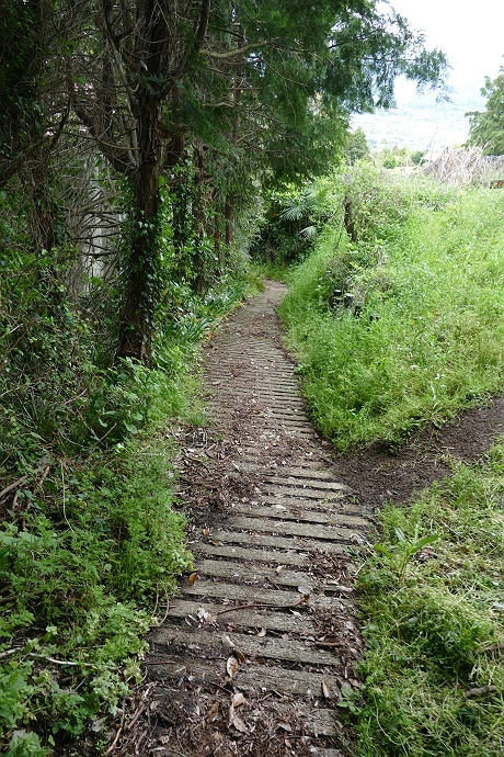 地味な低山、松田山に登る その6_c0196928_07581571.jpg